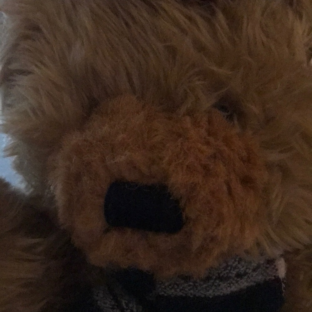 Christmas bear - Picture 2 of 5